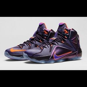 LeBron James 12 “instinct”